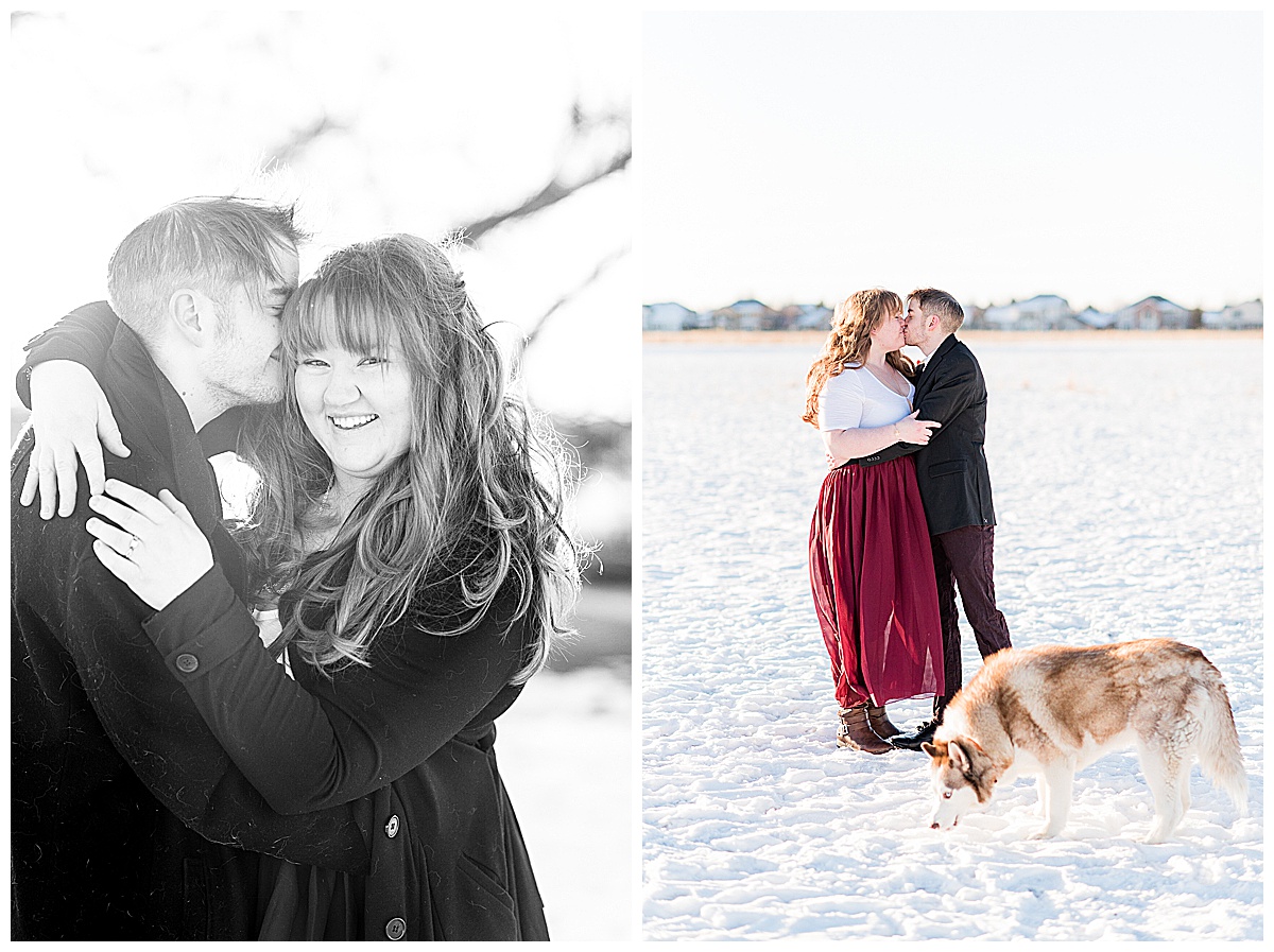 winter engagement pictures with snow and dogs
