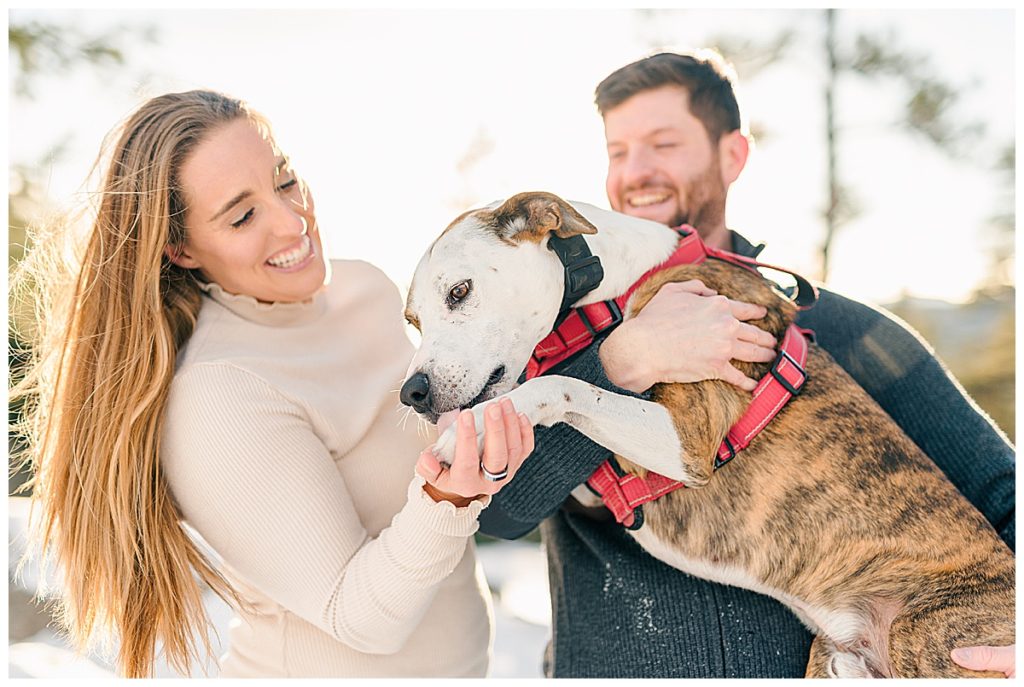 Colorado mountain winter engagement pictures with dog