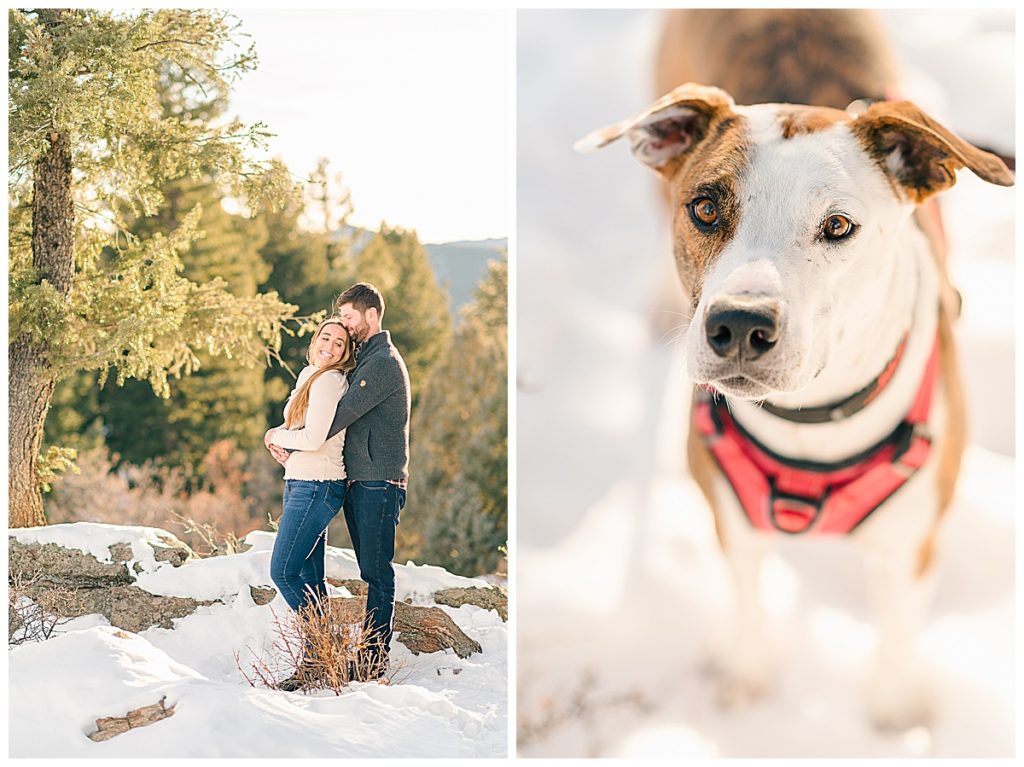 Colorado mountain winter engagement pictures with dog