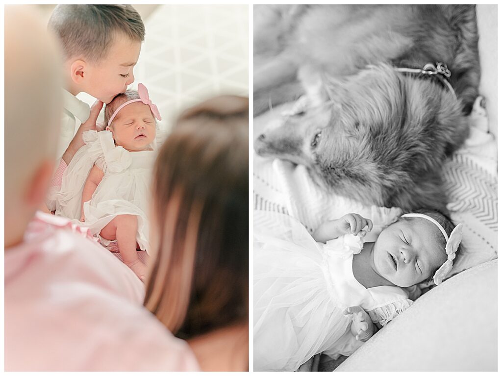 newborn family pictures of baby girl with brother and dog