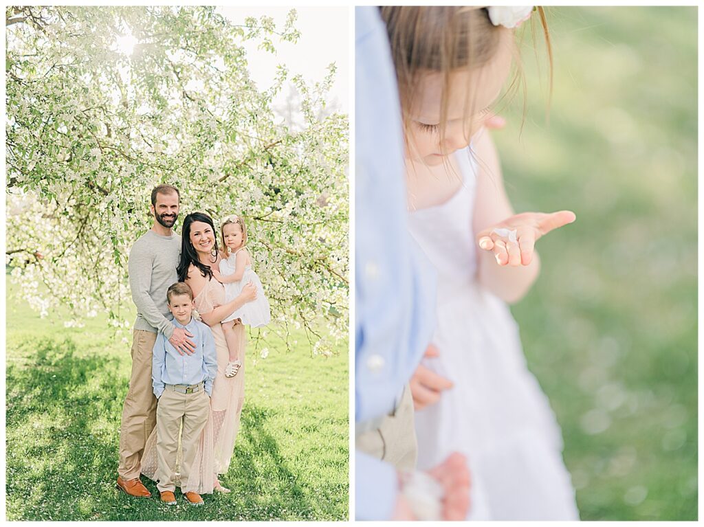 spring family pictures with flower blossoms denver 