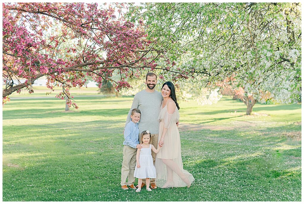 spring family pictures with flower blossoms denver 