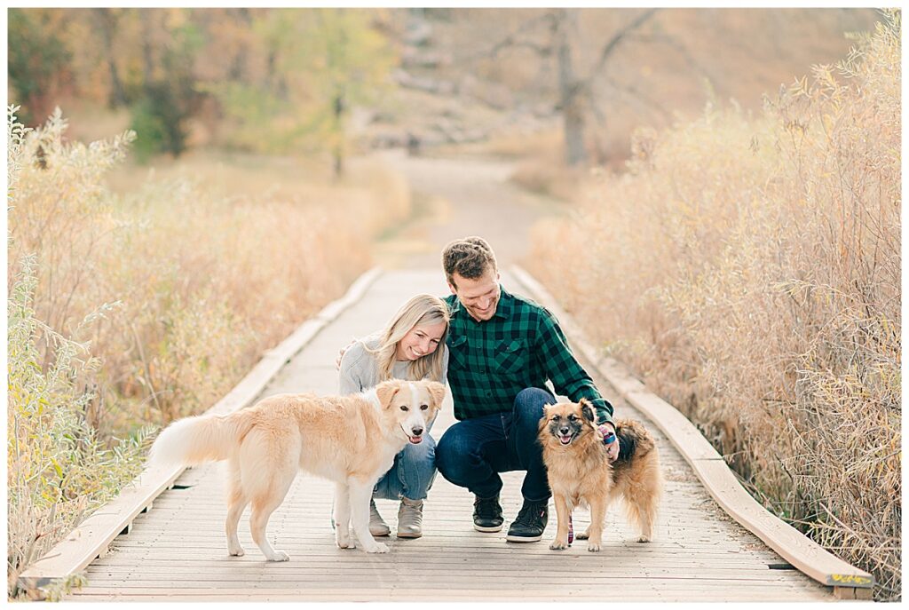 Colorado engagement fall pictures with dogs