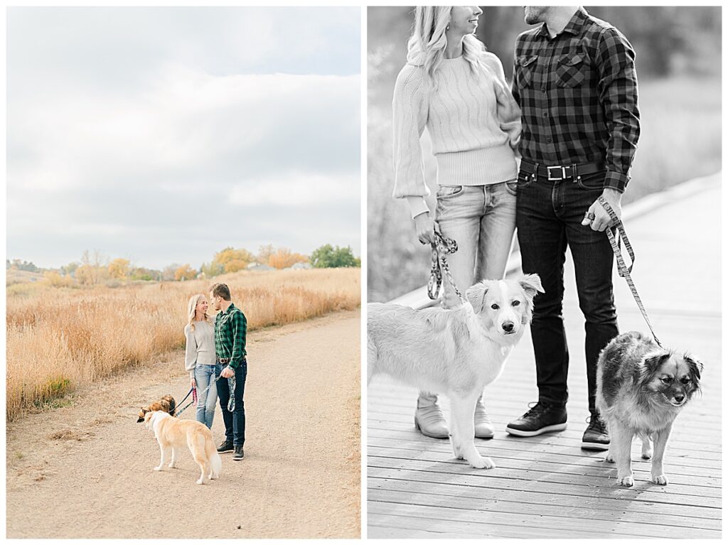 Colorado engagement fall pictures with dogs